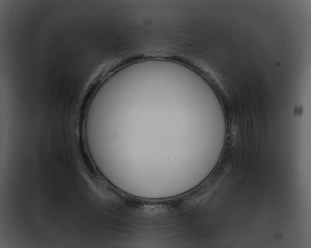 X0000101960686200807180703