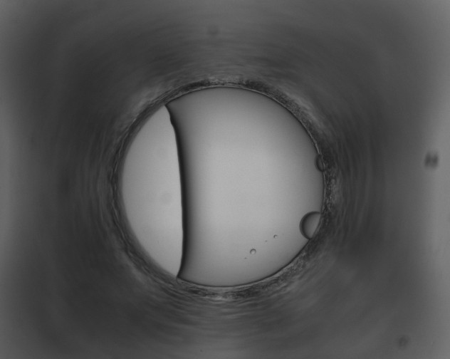 X0000101960687200807180703