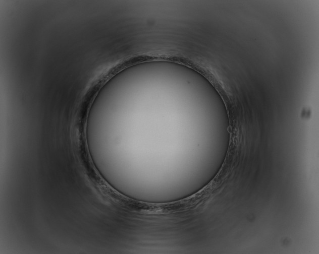 X0000101960688200807180703