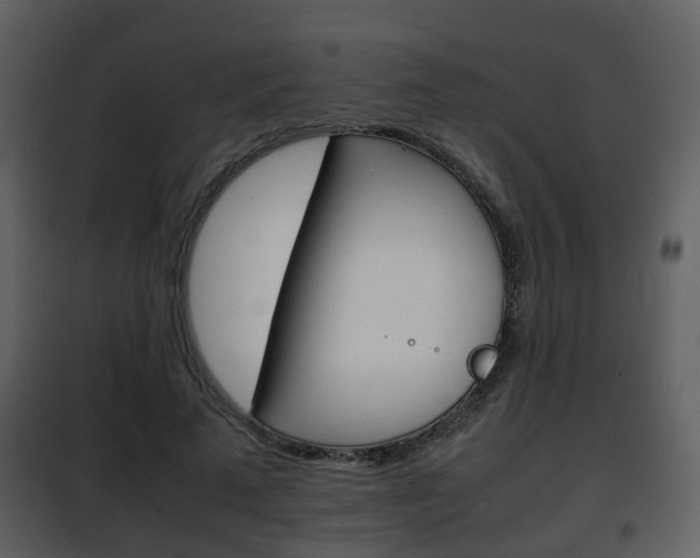 X0000101960689200807180703