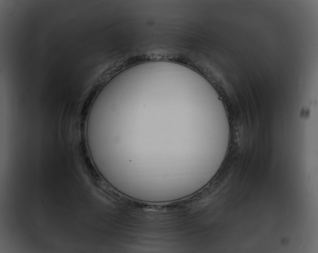 X0000101960690200807180703