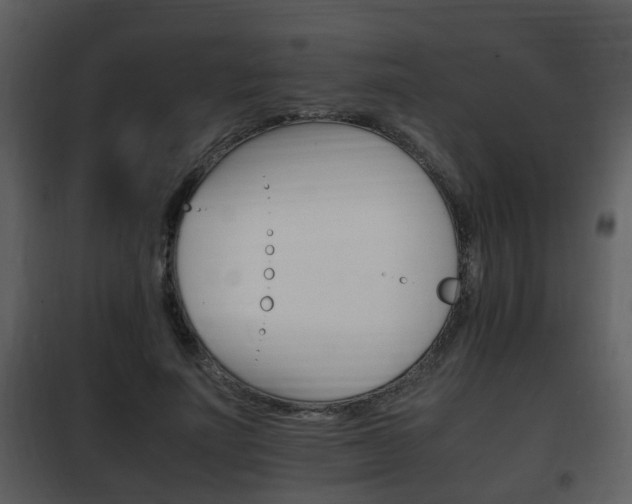 X0000101960691200807180703