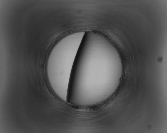 X0000101960693200807180703