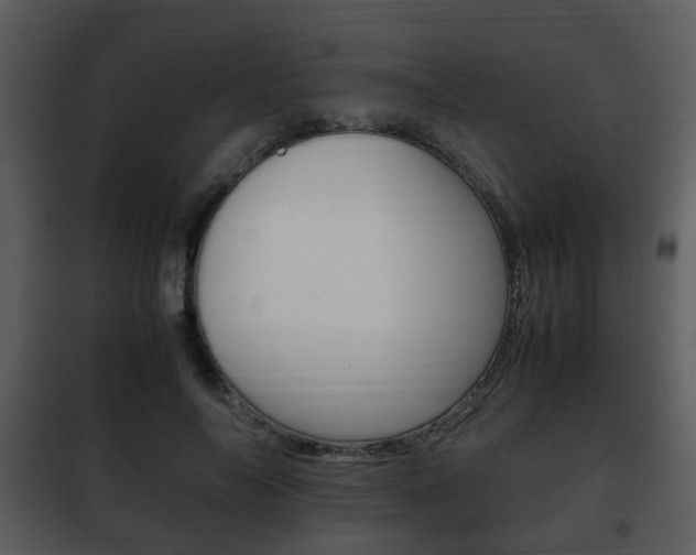 X0000101960694200807180703