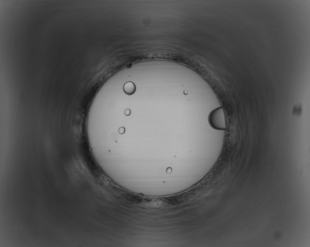 X0000101960695200807180703