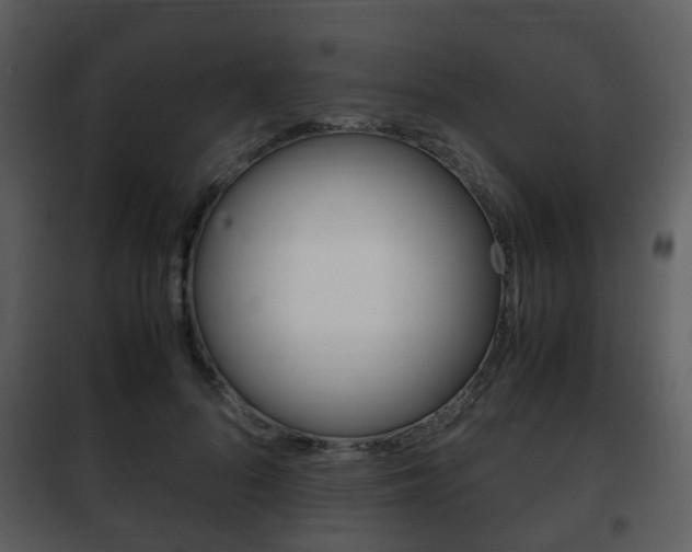 X0000101960696200807180703