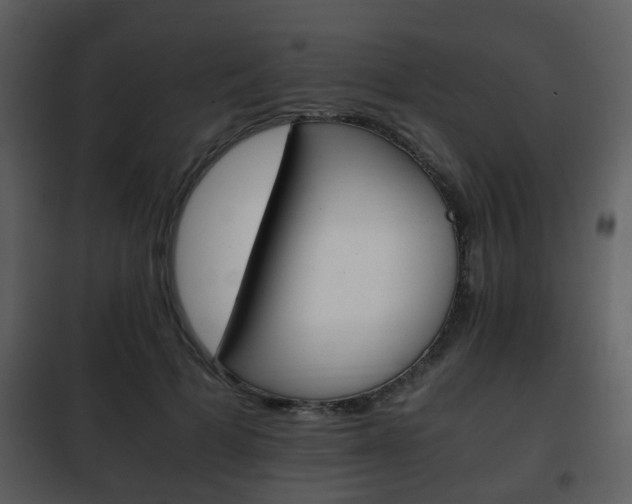 X0000101960697200807180703