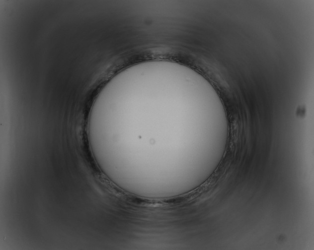 X0000101960698200807180703