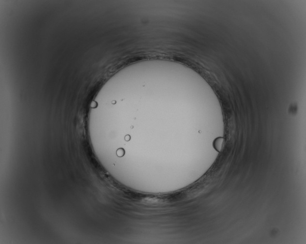 X0000101960699200807180703