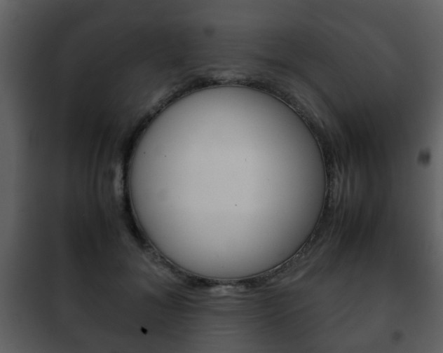 X0000101960700200807180703