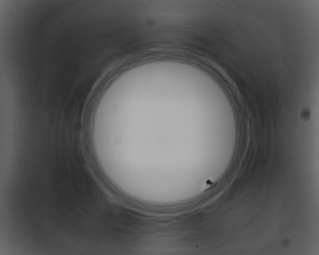 X0000101960701200807180703