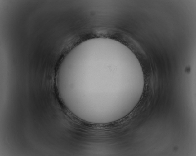 X0000101960702200807180703
