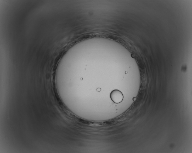 X0000101960703200807180703