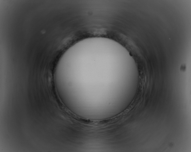 X0000101960704200807180703