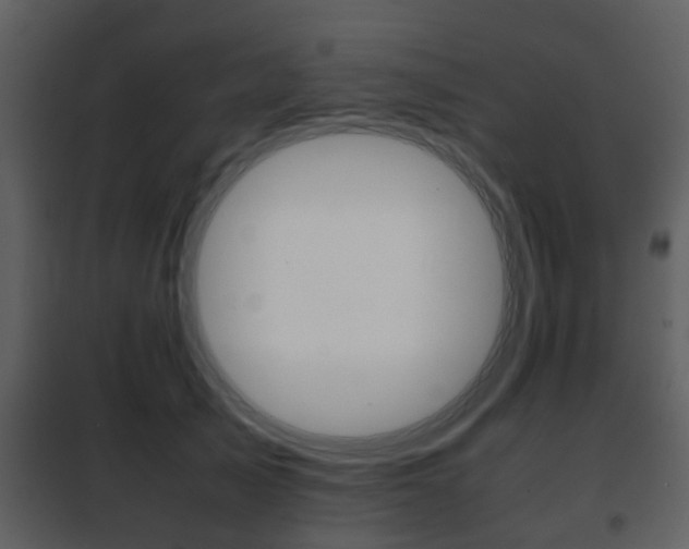 X0000101960705200807180702