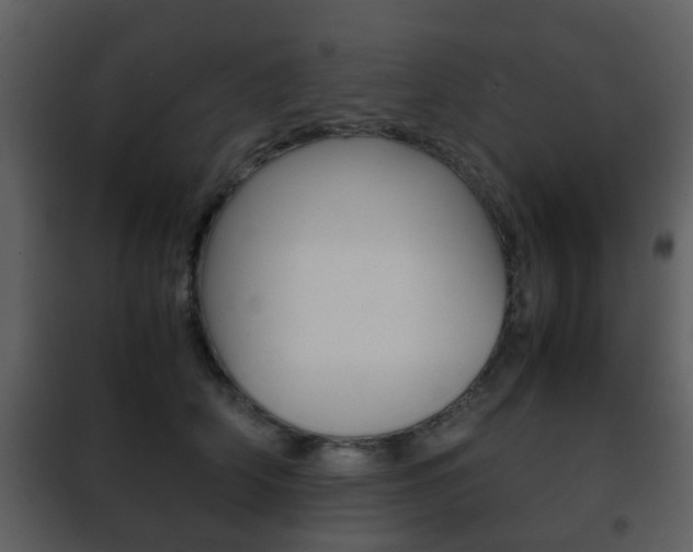 X0000101960706200807180702