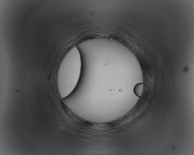 X0000101960707200807180702