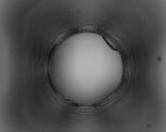 X0000101960708200807180702