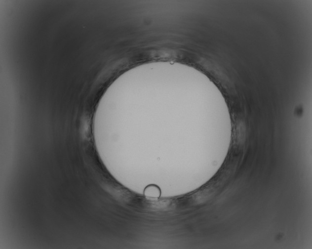 X0000101960709200807180702