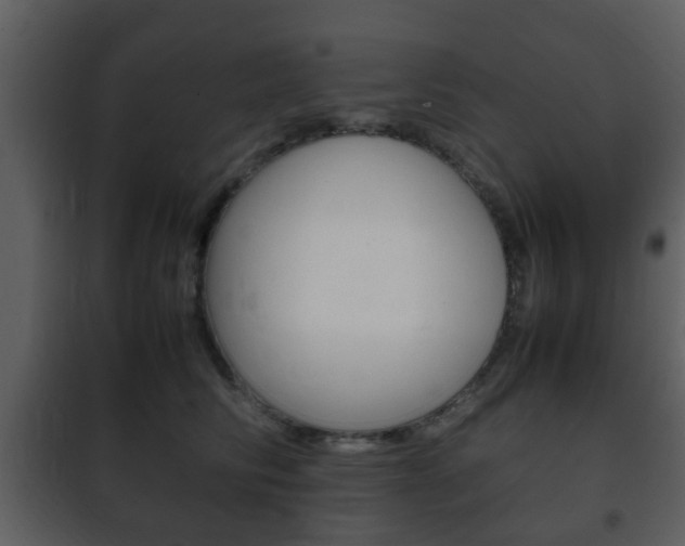 X0000101960710200807180702