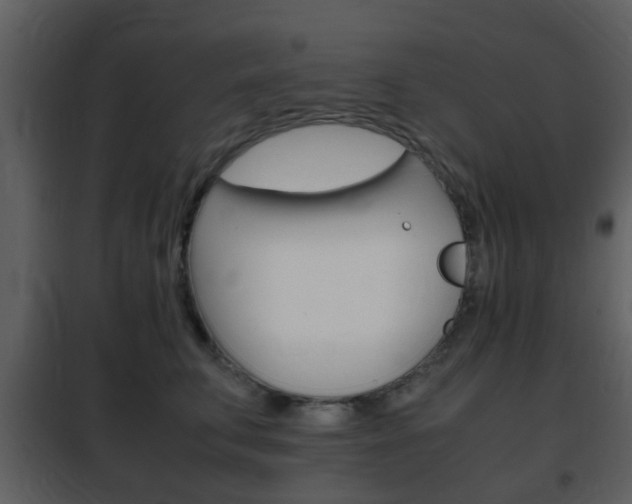 X0000101960711200807180702