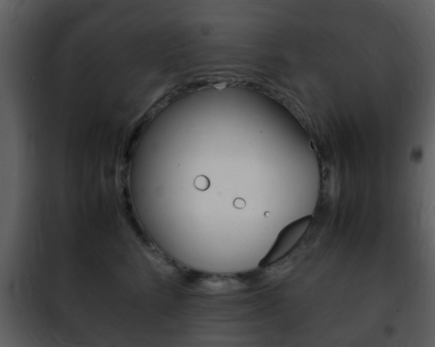 X0000101960712200807180702
