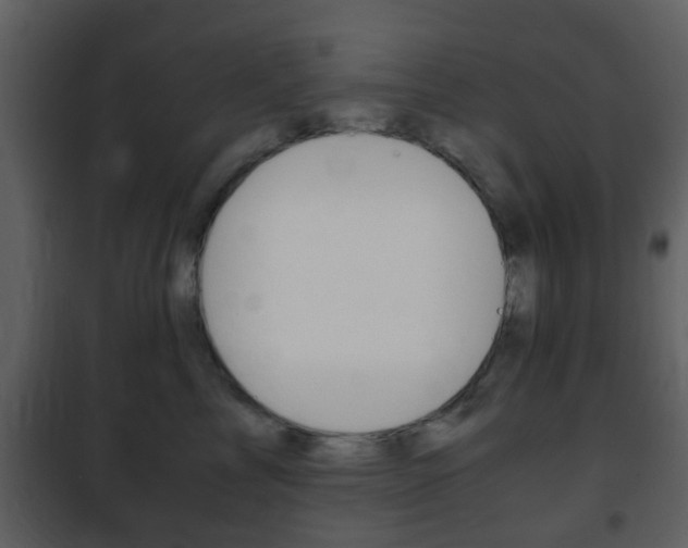 X0000101960713200807180702