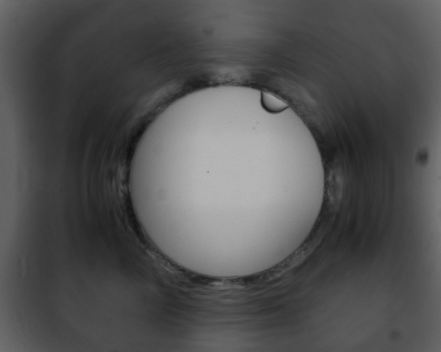 X0000101960714200807180702