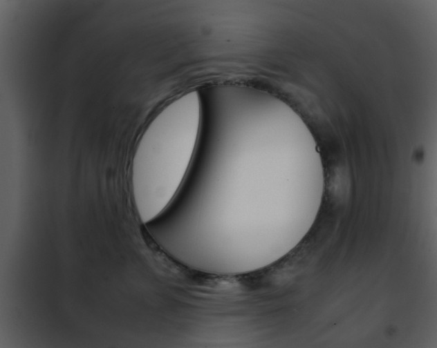 X0000101960715200807180702
