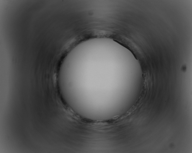 X0000101960716200807180702