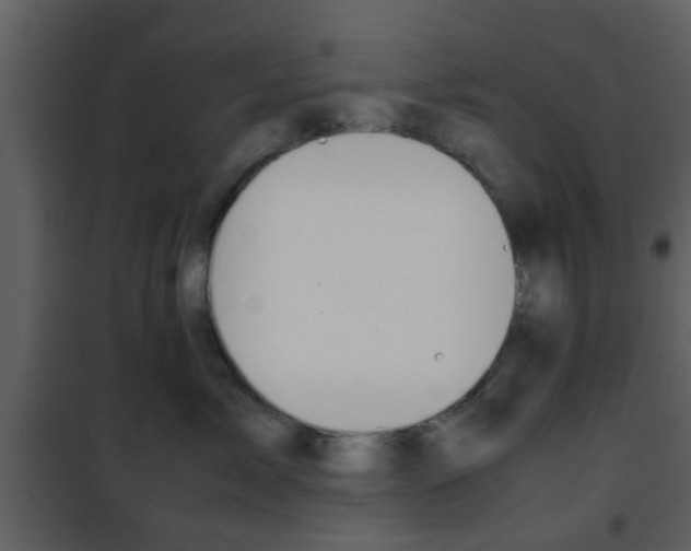 X0000101960717200807180702