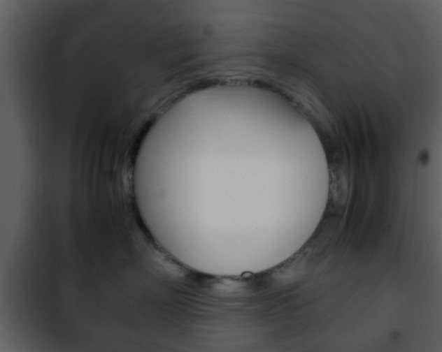 X0000101960718200807180702