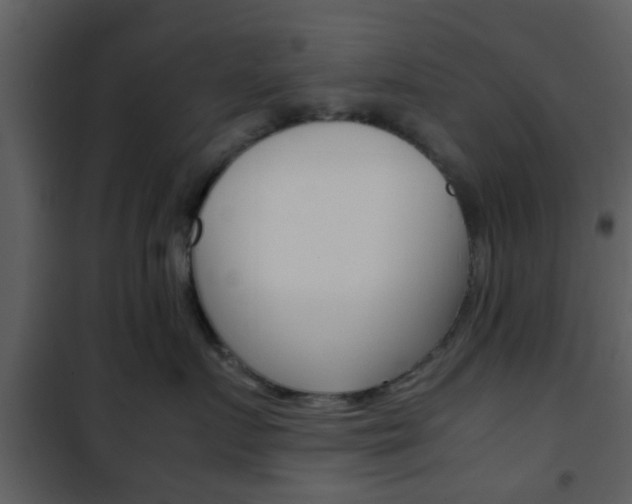 X0000101960719200807180702