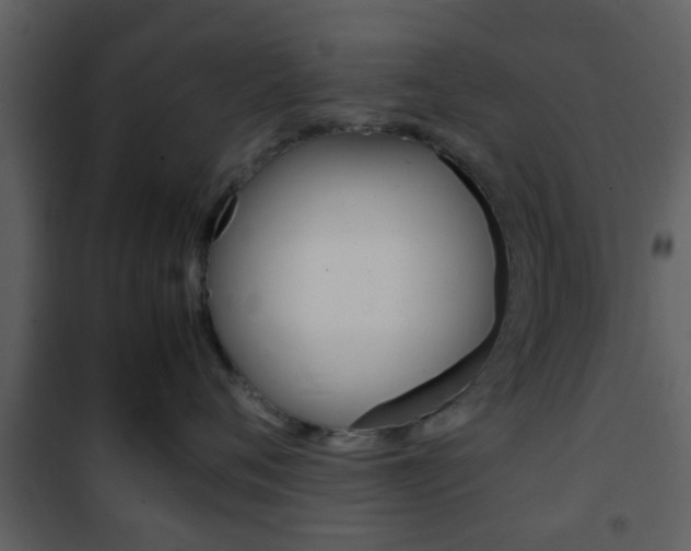 X0000101960720200807180702
