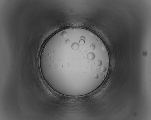 X0000101960721200807180701