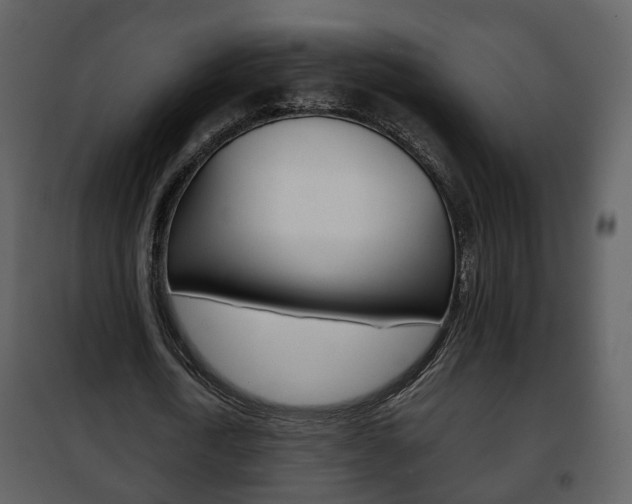 X0000101960722200807180701
