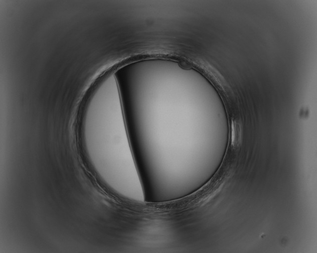 X0000101960723200807180701