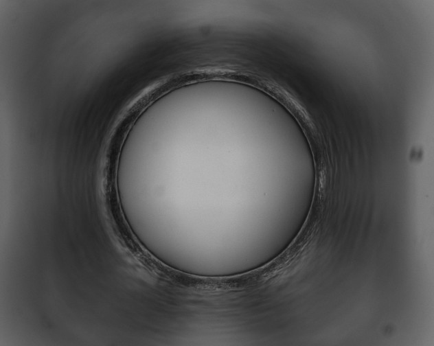 X0000101960724200807180702