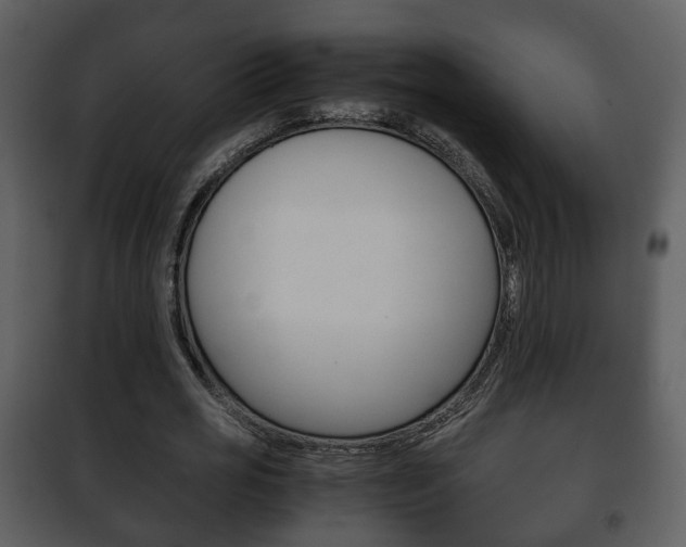 X0000101960725200807180702