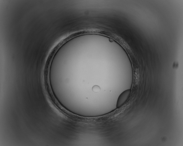 X0000101960726200807180702