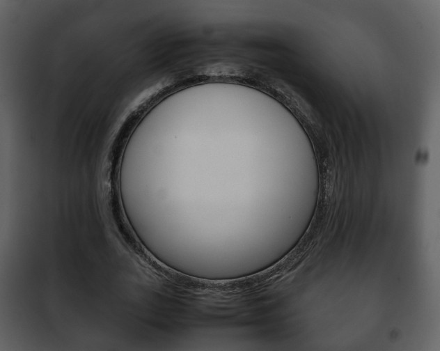 X0000101960727200807180702
