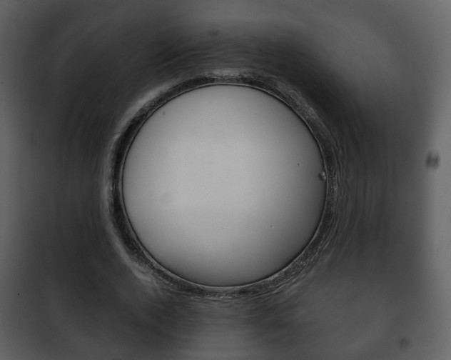 X0000101960728200807180702