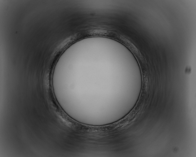 X0000101960729200807180702