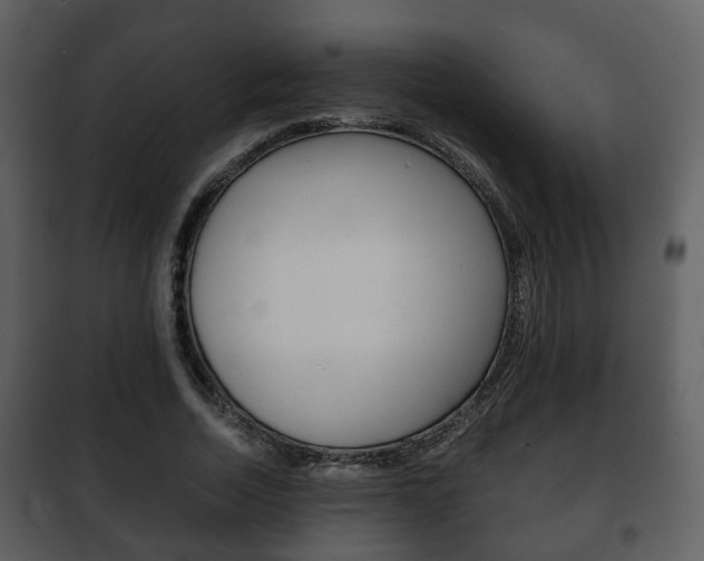 X0000101960730200807180702