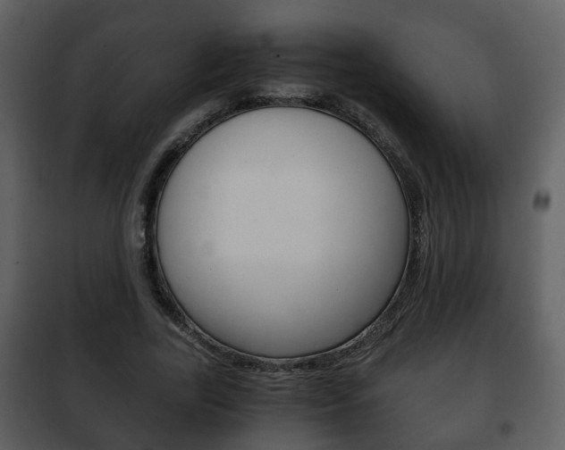 X0000101960731200807180702