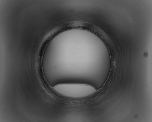 X0000101960732200807180702