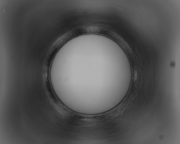X0000101960733200807180702