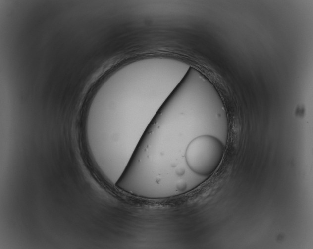 X0000101960734200807180702