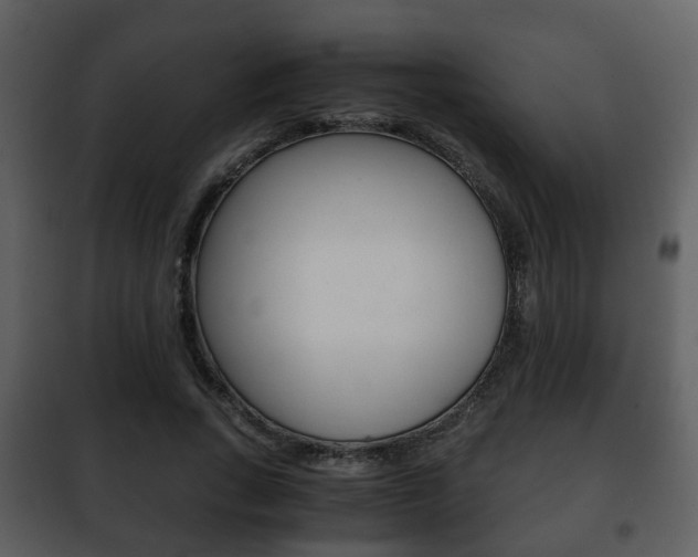 X0000101960735200807180702
