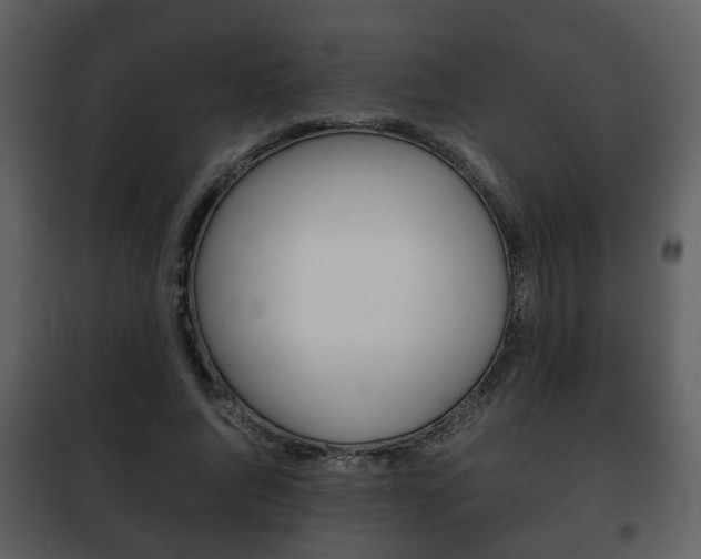 X0000101960736200807180702